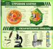 424 (1200х1100)-строение клетки увеличительные приборы 1200х1100мм